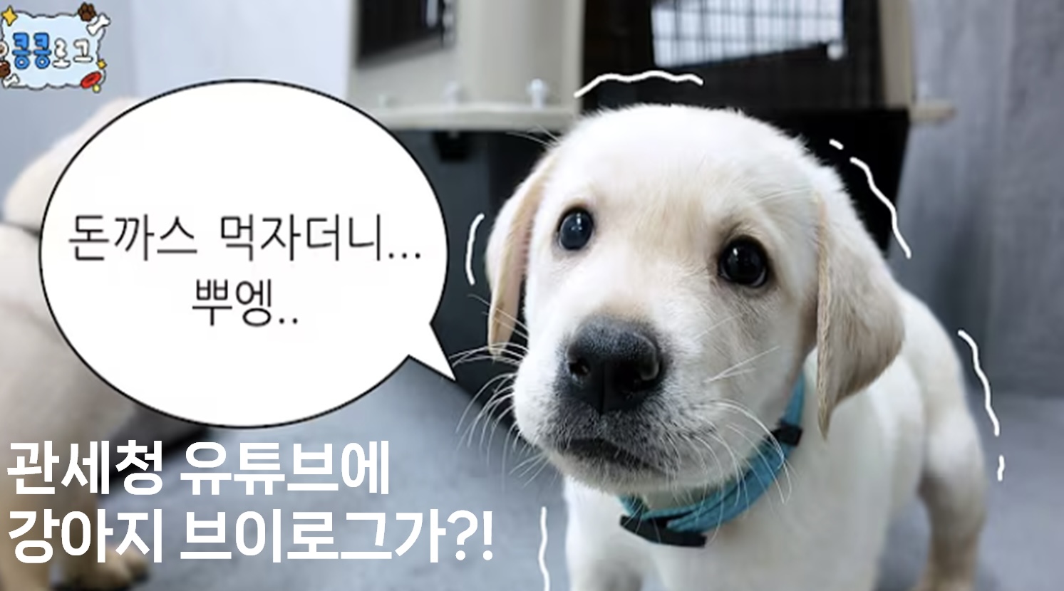 오늘의 인사이트 썸네일
